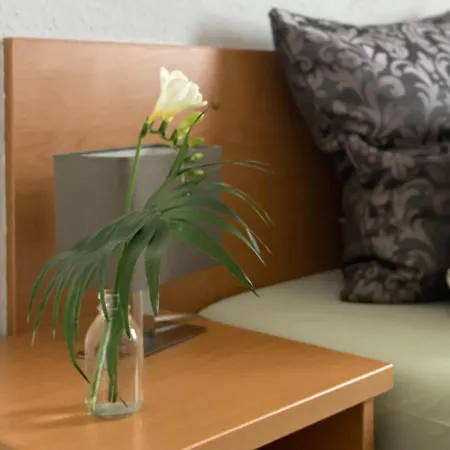 Hotel-stadt-aschersleben 2*