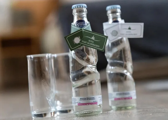 Hotel-stadt-aschersleben ホテル